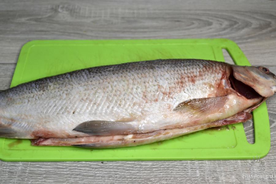 Рецепт приготовления тар-тара из рыбы муксун