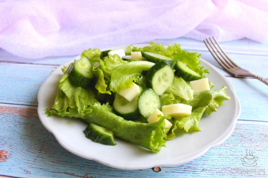 Зеленый салат с моцареллой под пикантной заправкой
